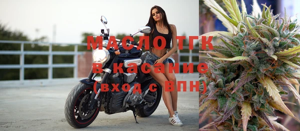 гидра Гусь-Хрустальный