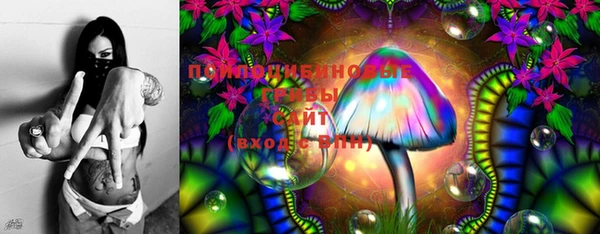 ECSTASY Горняк