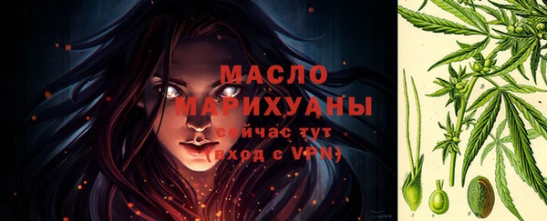 гидра Гусь-Хрустальный