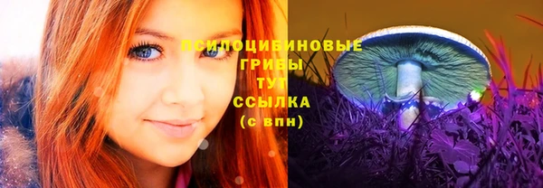 гидра Гусь-Хрустальный