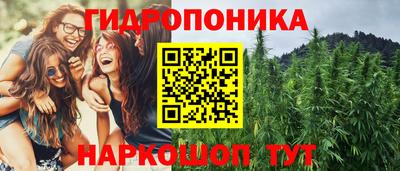 сатива Аргун