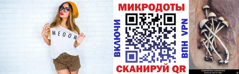 Псилоцибиновые грибы мицелий  хочу   Малоярославец 