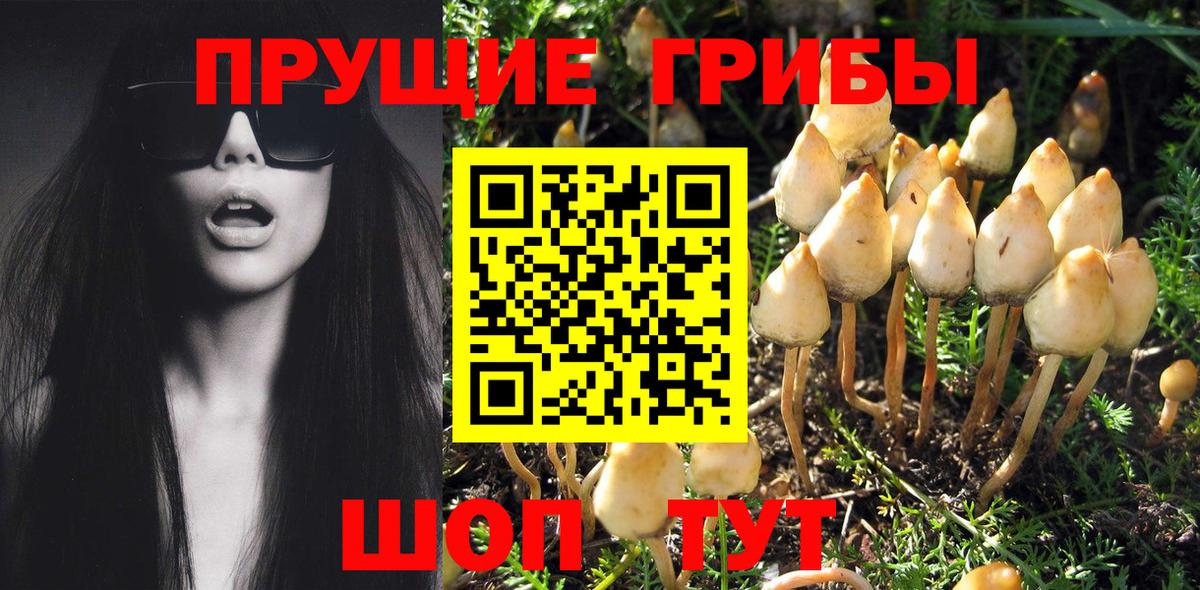 Галлюциногенные грибы Psilocybe  где купить наркоту  Псилоцибиновые грибы мухоморы  Малоярославец  Вход с VPN 