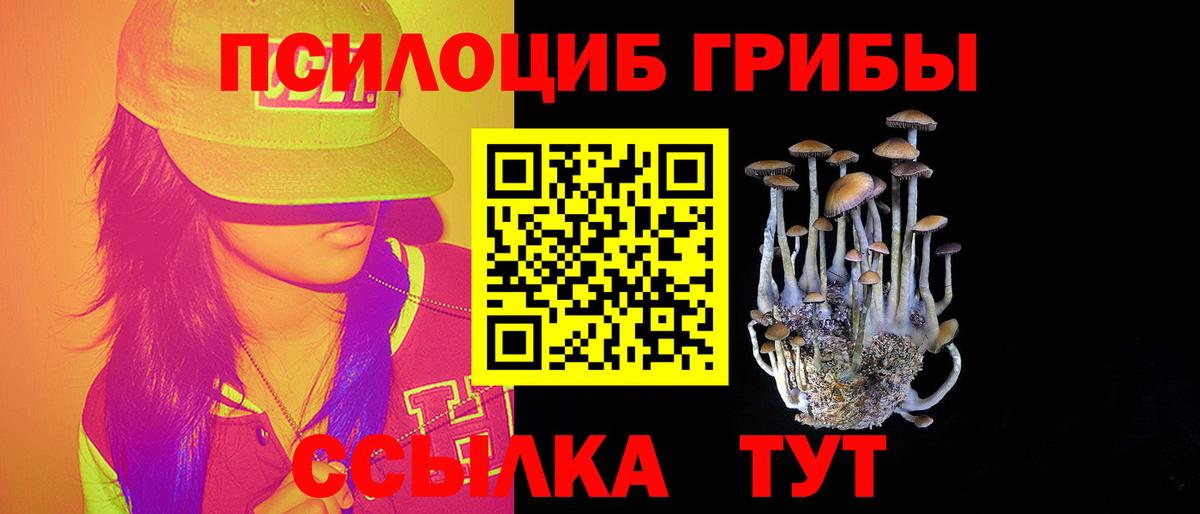 Галлюциногенные грибы Cubensis Малоярославец