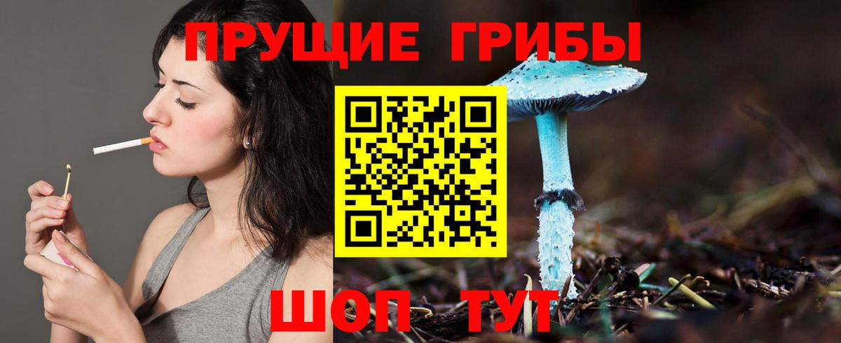 Псилоцибиновые грибы Magic Shrooms  Малоярославец  Псилоцибиновые грибы Magic Shrooms 